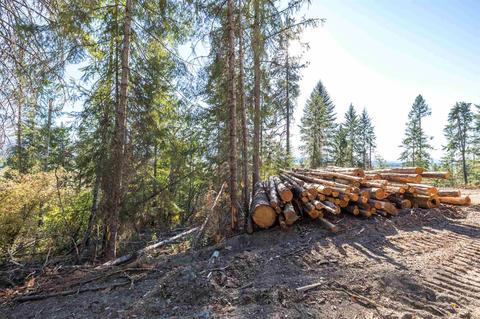 19489 Westside Calispel Rd, Cusick, WA 99119 photo 18