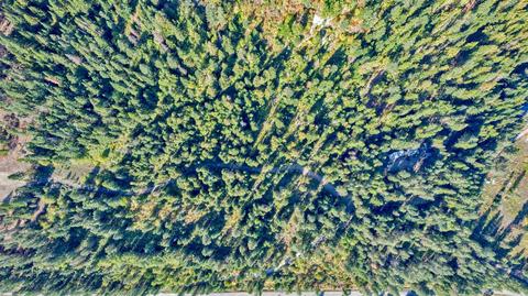 19489 Westside Calispel Rd, Cusick, WA 99119 photo 11