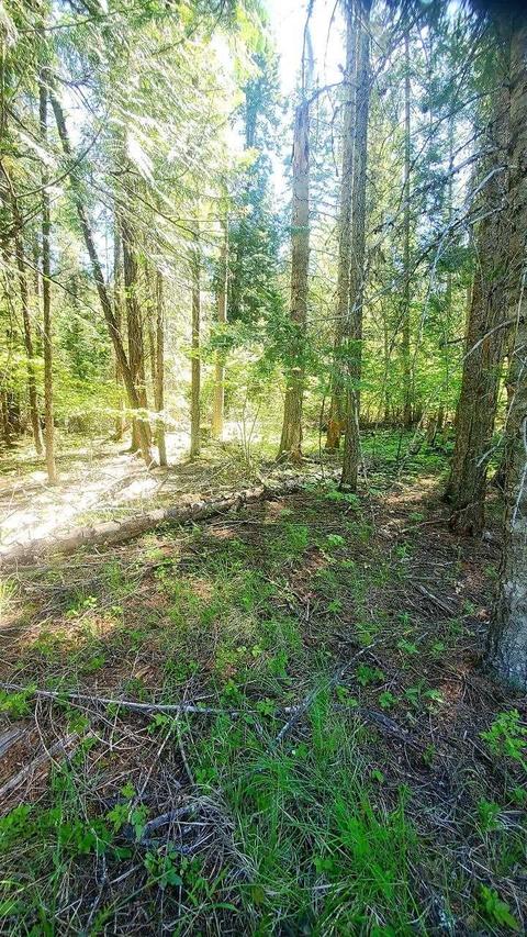 tbd Leclerc Rd, Cusick, WA 99119 photo 16