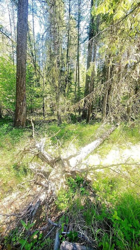 tbd Leclerc Rd, Cusick, WA 99119 photo 19