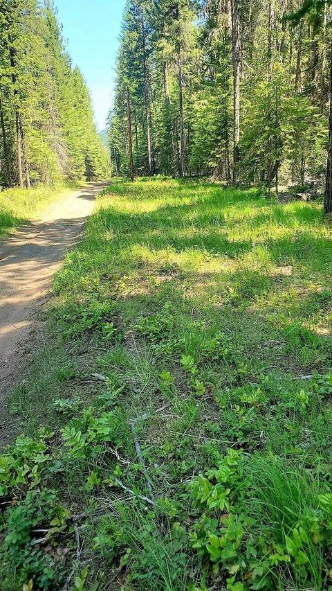 tbd Leclerc Rd, Cusick, WA 99119 photo 12