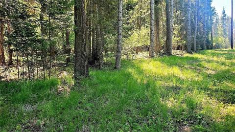 tbd Leclerc Rd, Cusick, WA 99119 photo 4