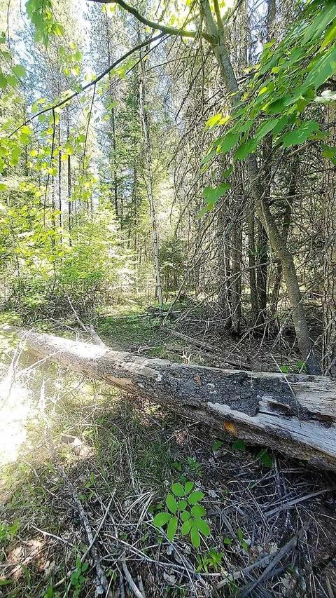 tbd Leclerc Rd, Cusick, WA 99119 photo 18