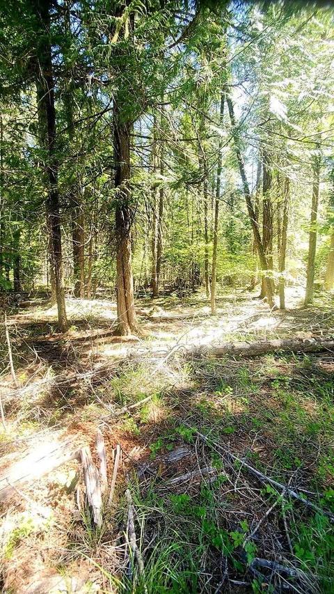 tbd Leclerc Rd, Cusick, WA 99119 photo 9