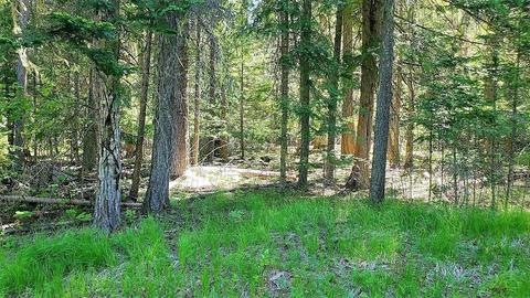 tbd Leclerc Rd, Cusick, WA 99119 photo 13