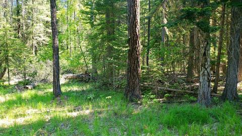 tbd Leclerc Rd, Cusick, WA 99119 photo 14