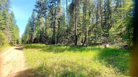 tbd Leclerc Rd, Cusick, WA 99119 photo 3