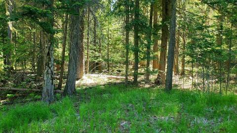 tbd Leclerc Rd, Cusick, WA 99119 photo 1