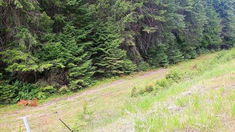 tbd Leclerc Rd, Cusick, WA 99119 photo 7