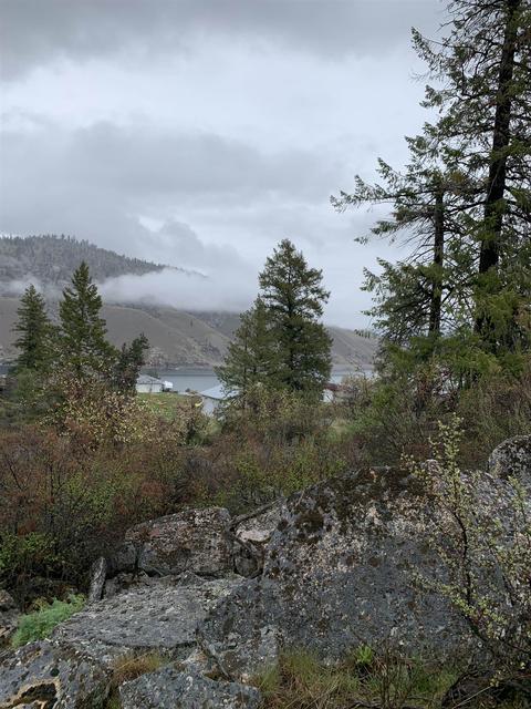 25450 E Roosevelt View Dr, Lincoln, WA 99147