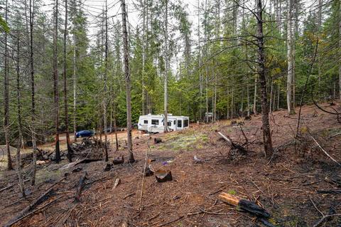 412 Cusick Creek Rd, Cusick, WA 99119 photo 9