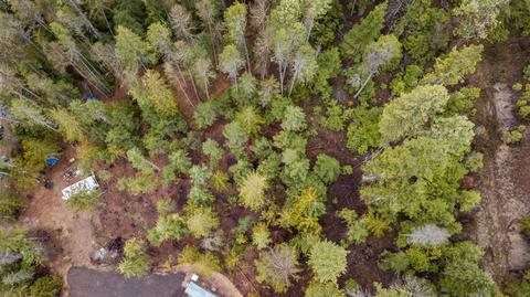412 Cusick Creek Rd, Cusick, WA 99119 photo 2