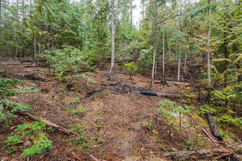 412 Cusick Creek Rd, Cusick, WA 99119 photo 11