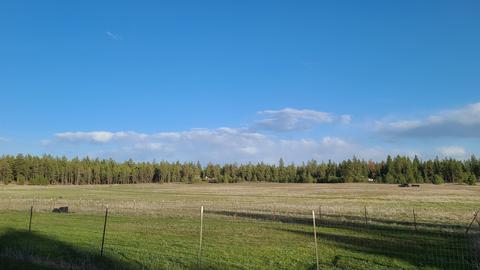1020 E Smythe Rd, Spangle, WA 99031 photo 11