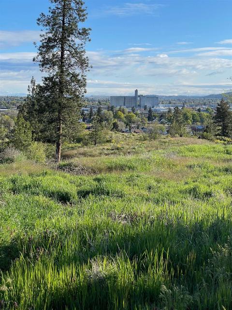1825 E 7th Ave, Spokane, WA 99202 photo 2