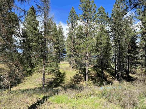 1524 W Monroe Rd, Colbert, WA 99005 photo 35