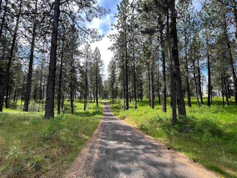 1524 W Monroe Rd, Colbert, WA 99005 photo 38