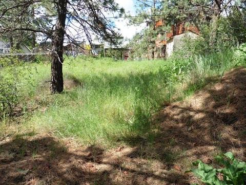 4237 E Pratt Ave, Spokane, WA 99202 photo 3