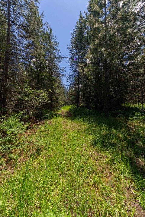 17501 Westside Calispel Rd, Cusick, WA 99119 photo 49