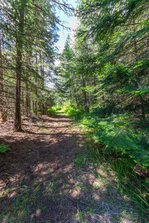 17501 Westside Calispel Rd, Cusick, WA 99119 photo 46