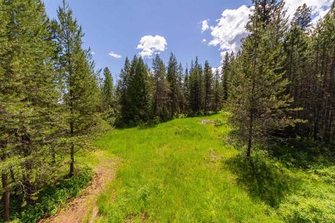 17501 Westside Calispel Rd, Cusick, WA 99119 photo 50