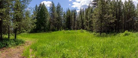 17501 Westside Calispel Rd, Cusick, WA 99119 photo 44