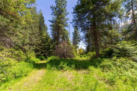 17501 Westside Calispel Rd, Cusick, WA 99119 photo 45