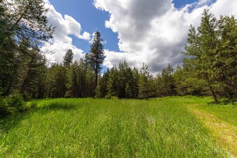 17501 Westside Calispel Rd, Cusick, WA 99119 photo 47