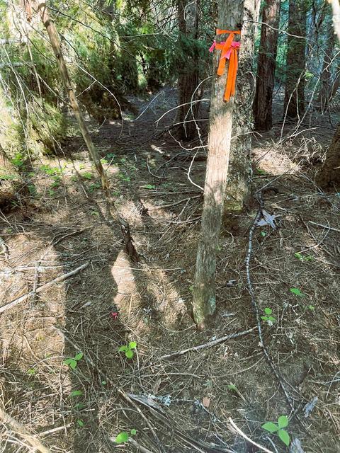 392 Osprey Dr, Cusick, WA 99119 photo 3