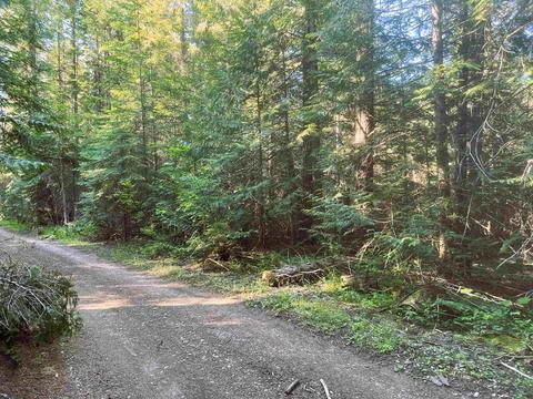 392 Osprey Dr, Cusick, WA 99119 photo 4