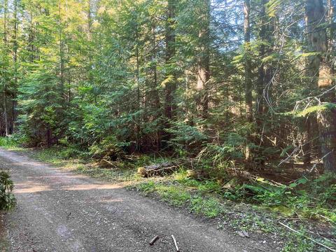 392 Osprey Dr, Cusick, WA 99119 photo 1