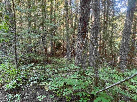 392 Osprey Dr, Cusick, WA 99119 photo 2