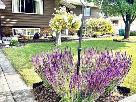 12005 E 9th Ave, Spokane Valley, WA 99206 photo 1
