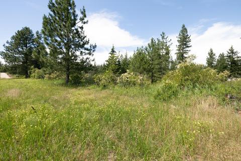 4702 Lot 3 Furzee Rd, Clayton, WA 99110