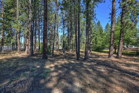 4409 E Greenbluff Rd, Colbert, WA 99005 photo 4
