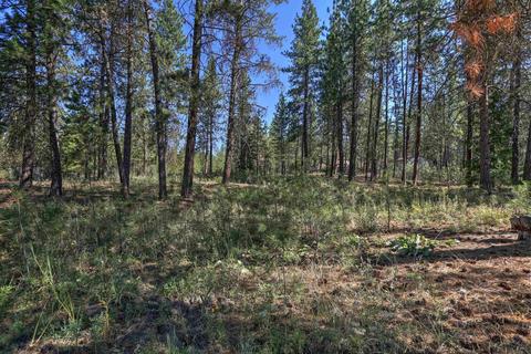 4409 E Greenbluff Rd, Colbert, WA 99005 photo 45