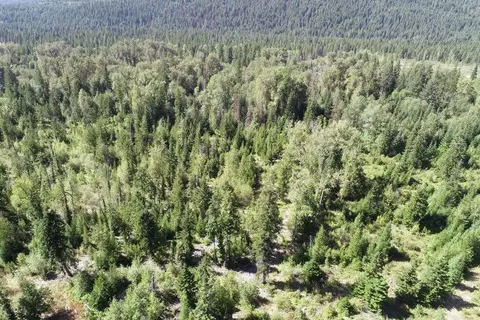 Nnn Hall Creek Rd, Inchelium, WA 99138