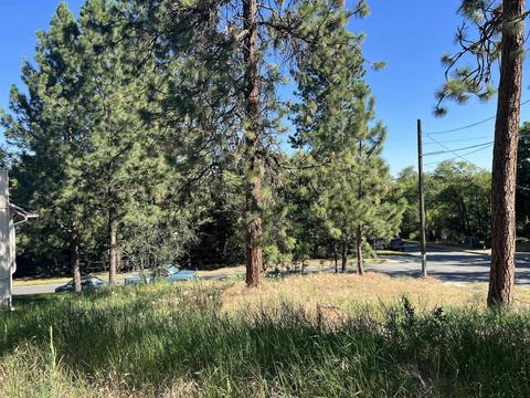3930 E 7th Ave, Spokane, WA 99202 photo 10