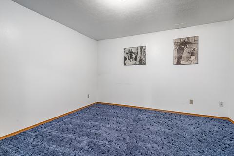 602 E Chattaroy Rd, Colbert, WA 99005 photo 20