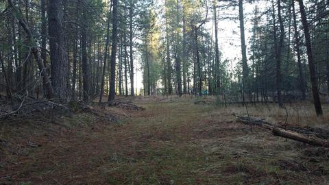 Nnnn N Jermain Ln, Colbert, WA 99005