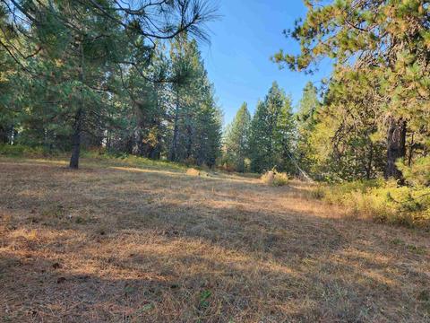 602 Wildflower Ln, Newport, WA 99156