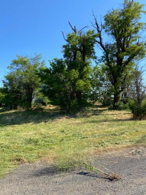 52681 E Blomgren Rd, Edwall, WA 99008 photo 11