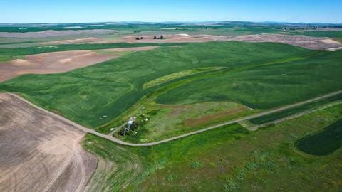 52681 E Blomgren Rd, Edwall, WA 99008 photo 41