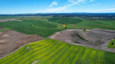 52681 E Blomgren Rd, Edwall, WA 99008 photo 49