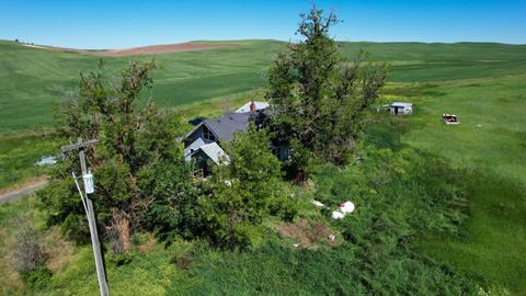 52681 E Blomgren Rd, Edwall, WA 99008 photo 6