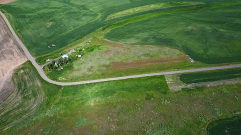 52681 E Blomgren Rd, Edwall, WA 99008 photo 47