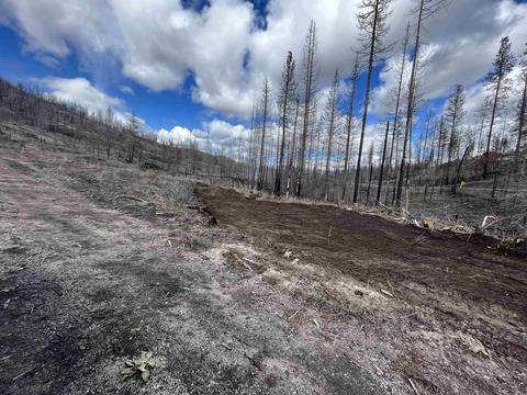 Lot 9 Rail Canyon Rd, Springdale, WA 99173