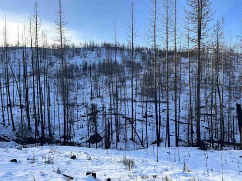 Lot 10 Rail Canyon Rd, Springdale, WA 99173
