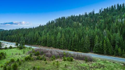A Coyote Trail Dr, Newport, WA 99156