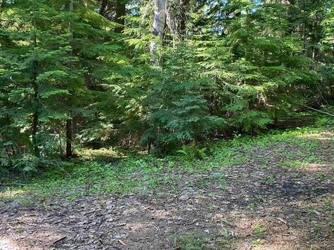 Lt 40 Blk 1 Snowblaze Rec Tracts Rd, Mead, WA 99021
